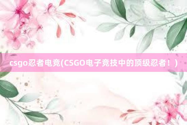 csgo忍者电竞(CSGO电子竞技中的顶级忍者！)