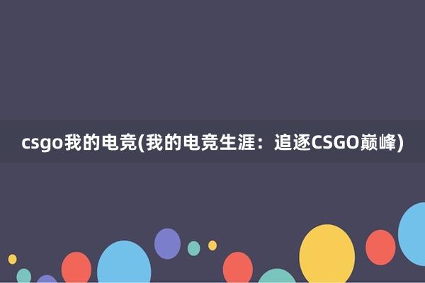 csgo我的电竞(我的电竞生涯：追逐CSGO巅峰)