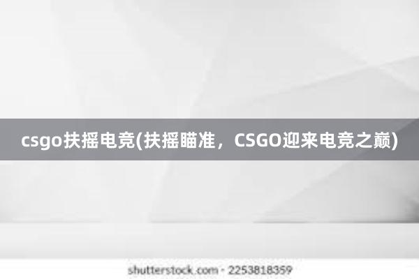 csgo扶摇电竞(扶摇瞄准，CSGO迎来电竞之巅)