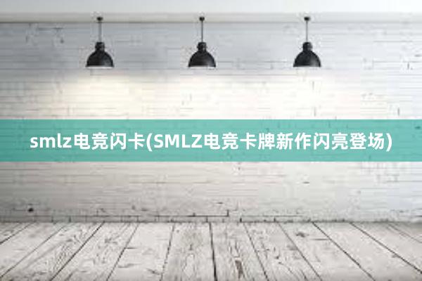 smlz电竞闪卡(SMLZ电竞卡牌新作闪亮登场)