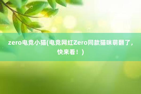 zero电竞小猫(电竞网红Zero同款猫咪萌翻了，快来看！)