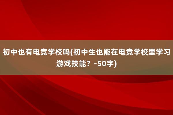 初中也有电竞学校吗(初中生也能在电竞学校里学习游戏技能？-50字)