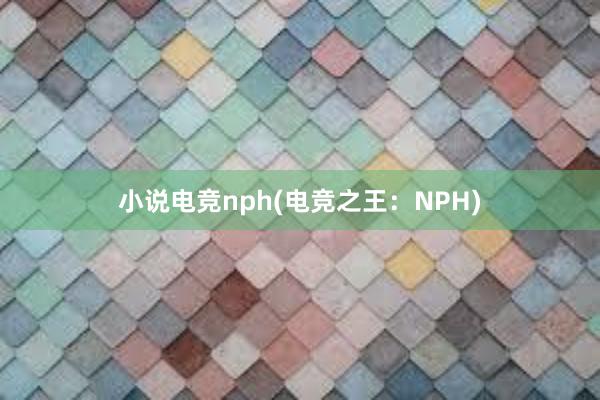 小说电竞nph(电竞之王：NPH)