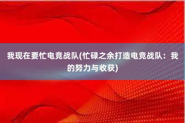 我现在要忙电竞战队(忙碌之余打造电竞战队：我的努力与收获)