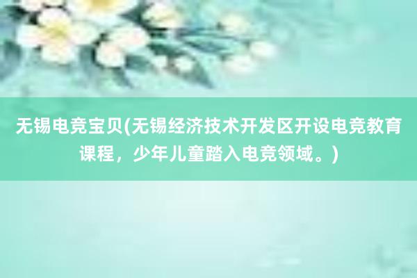 无锡电竞宝贝(无锡经济技术开发区开设电竞教育课程，少年儿童踏入电竞领域。)