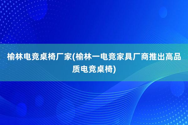 榆林电竞桌椅厂家(榆林一电竞家具厂商推出高品质电竞桌椅)