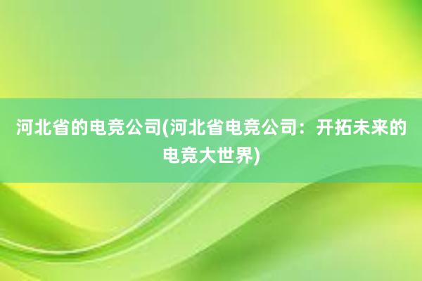 河北省的电竞公司(河北省电竞公司：开拓未来的电竞大世界)