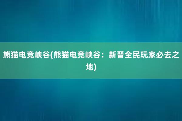 熊猫电竞峡谷(熊猫电竞峡谷：新晋全民玩家必去之地)