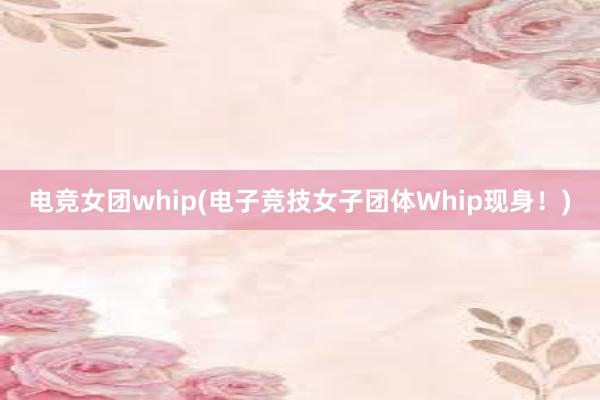 电竞女团whip(电子竞技女子团体Whip现身！)