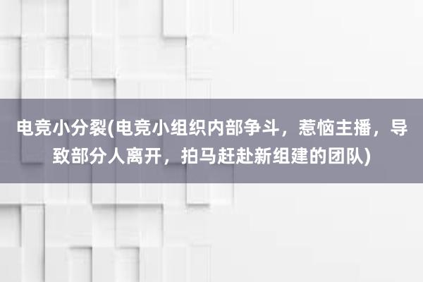 电竞小分裂(电竞小组织内部争斗，惹恼主播，导致部分人离开，拍马赶赴新组建的团队)