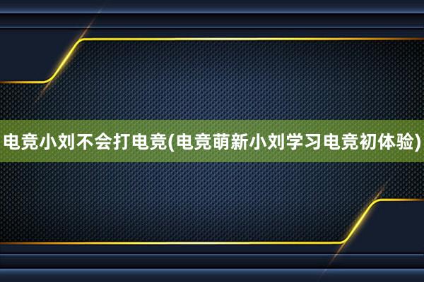 电竞小刘不会打电竞(电竞萌新小刘学习电竞初体验)