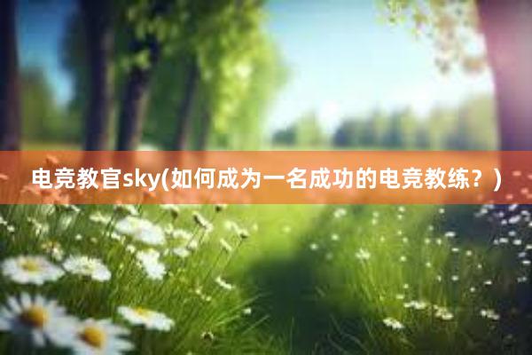 电竞教官sky(如何成为一名成功的电竞教练？)