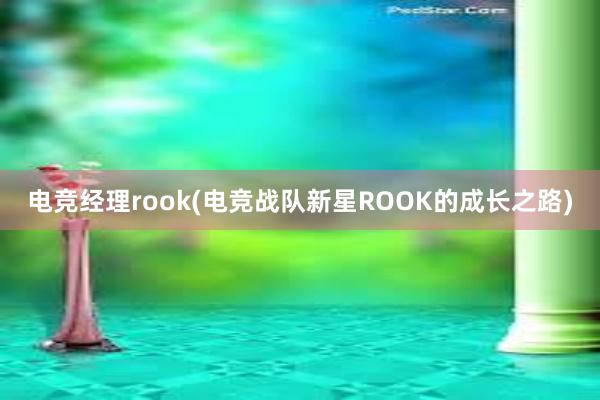 电竞经理rook(电竞战队新星ROOK的成长之路)