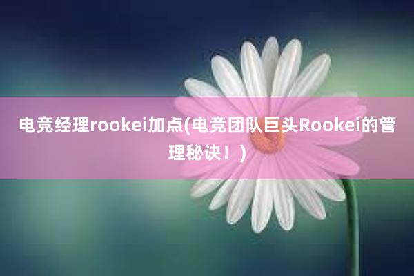 电竞经理rookei加点(电竞团队巨头Rookei的管理秘诀！)