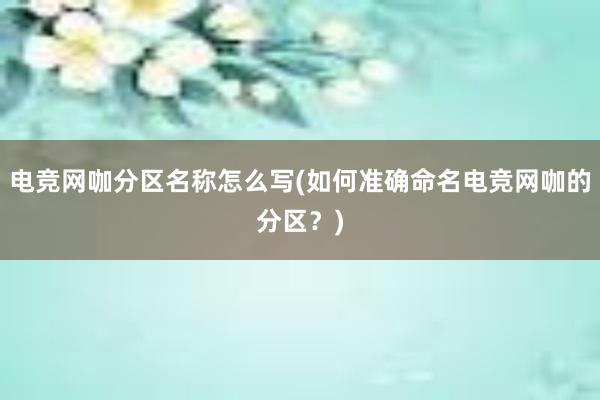 电竞网咖分区名称怎么写(如何准确命名电竞网咖的分区？)