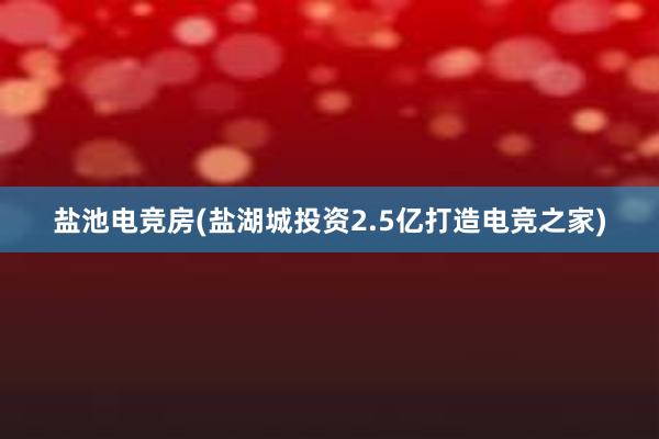 盐池电竞房(盐湖城投资2.5亿打造电竞之家)