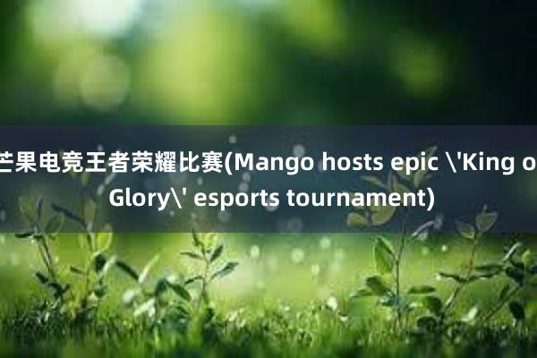 芒果电竞王者荣耀比赛(Mango hosts epic 'King of Glory' esports tournament)