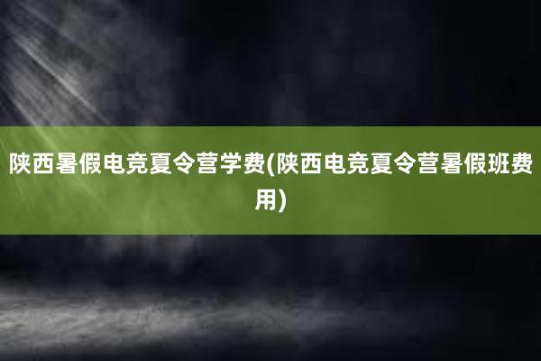 陕西暑假电竞夏令营学费(陕西电竞夏令营暑假班费用)