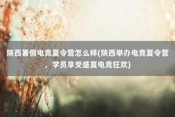 陕西暑假电竞夏令营怎么样(陕西举办电竞夏令营，学员享受盛夏电竞狂欢)