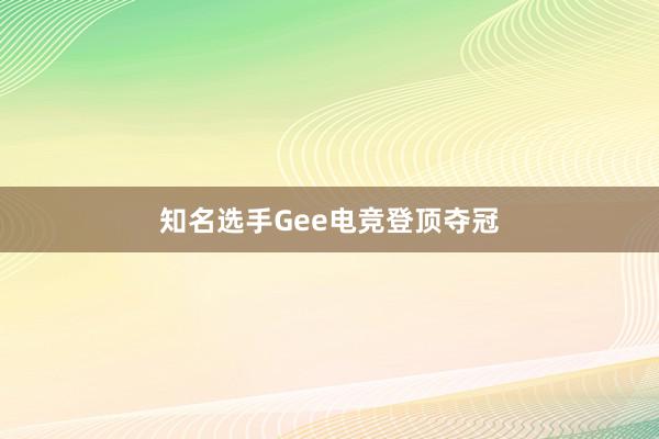 知名选手Gee电竞登顶夺冠