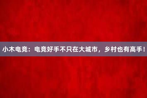 小木电竞：电竞好手不只在大城市，乡村也有高手！