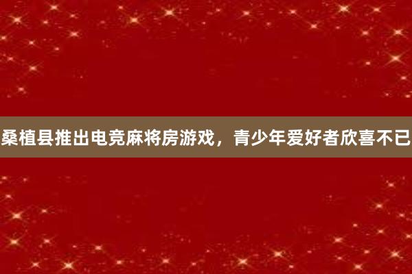 桑植县推出电竞麻将房游戏，青少年爱好者欣喜不已