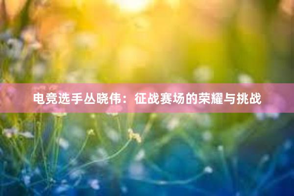 电竞选手丛晓伟：征战赛场的荣耀与挑战