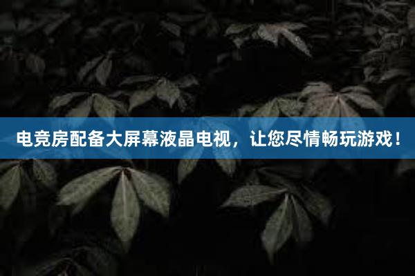 电竞房配备大屏幕液晶电视，让您尽情畅玩游戏！