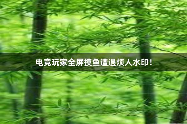 电竞玩家全屏摸鱼遭遇烦人水印！