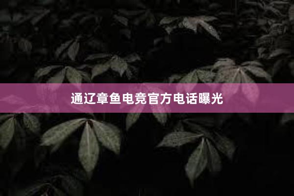 通辽章鱼电竞官方电话曝光